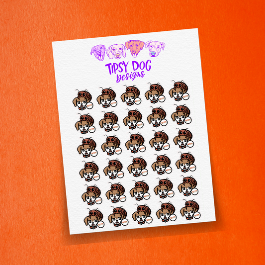 Flea and Tick Meds