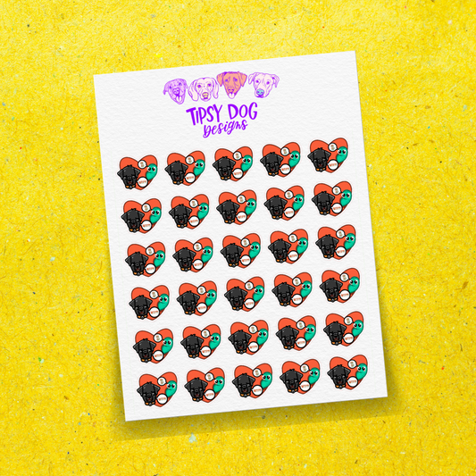 Heartworm Meds
