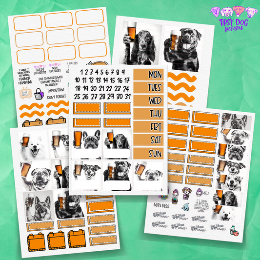 Beer Thirty Academic Kit 2025