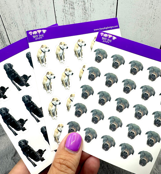 Custom Dog/Cat Picture Stickers