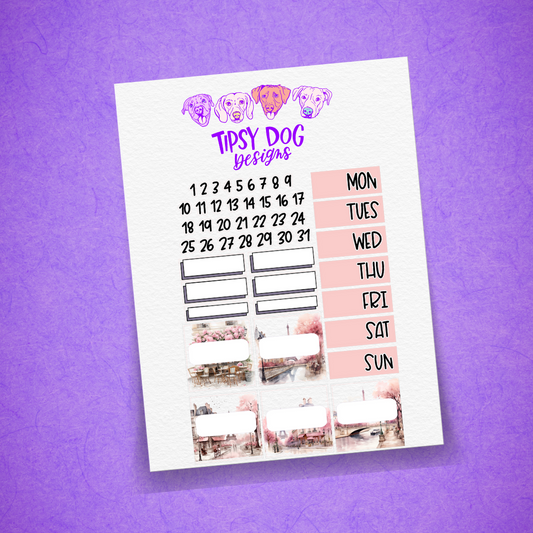 Andrea's Birthday Academic Kit 2024