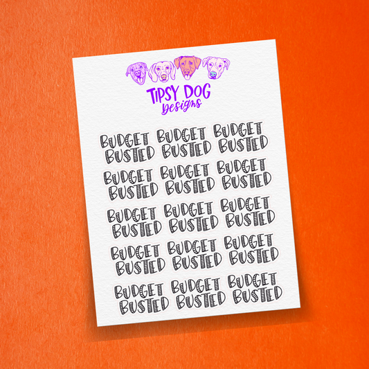 Budget Busted